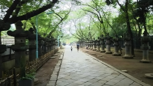 上野公園　東照宮、清水観音堂、上野大仏、天海僧正毛髪塔、黒田記念館_e0345320_23001417.jpg