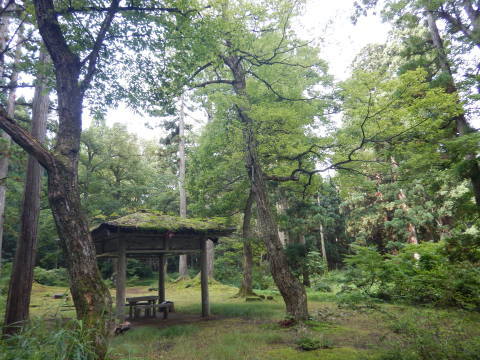 八朔祭_f0118332_00544021.jpg