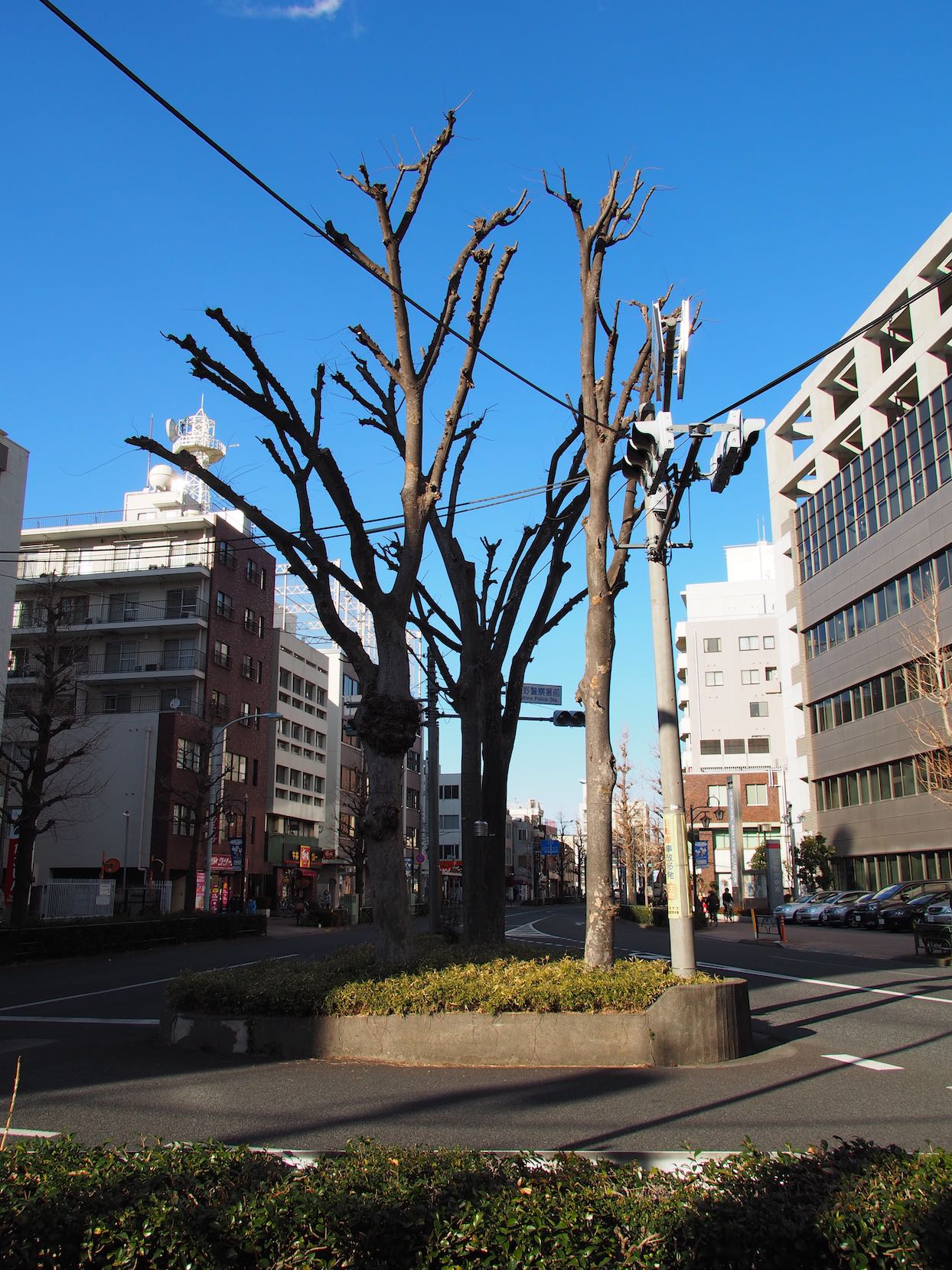 三鷹駅周辺スナップ　その16_e0216133_20274972.jpg