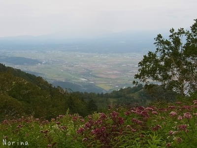 e0326953_125691.jpg