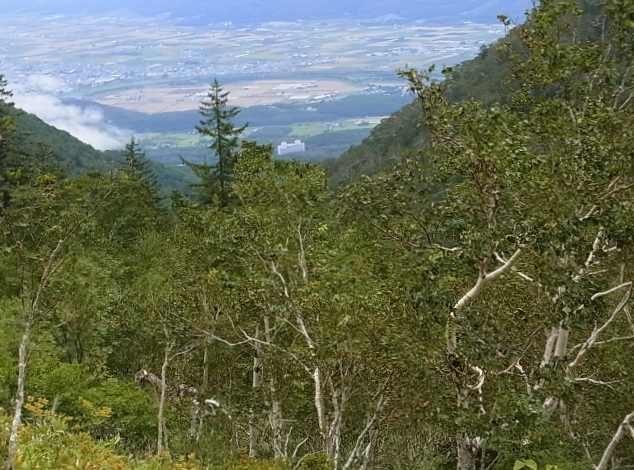 e0326953_1423125.jpg