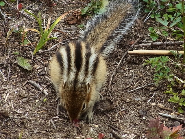 e0326953_14311483.jpg