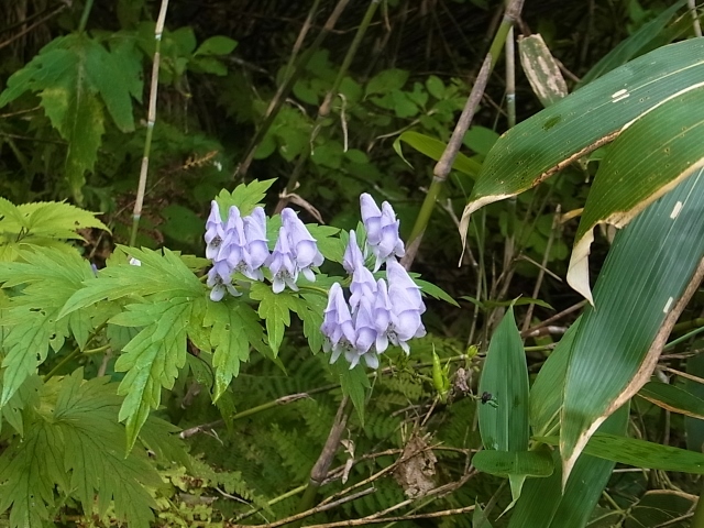 e0326953_15125615.jpg