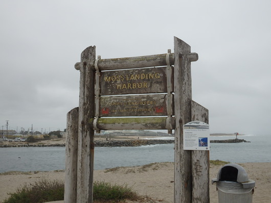 c0115366_2157596.jpg