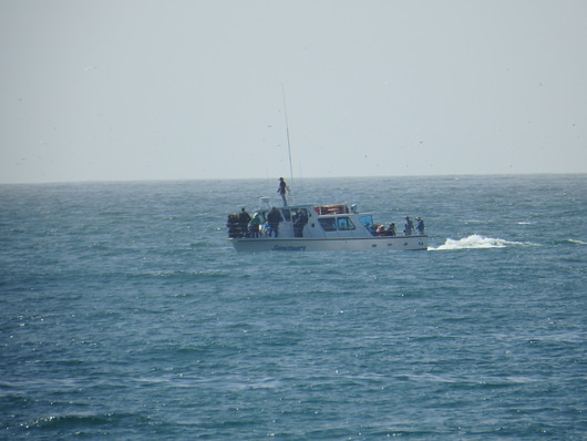 c0115366_223221.jpg