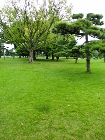 e0045768_2193390.jpg