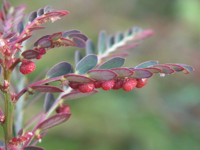 e0345868_23312118.jpg