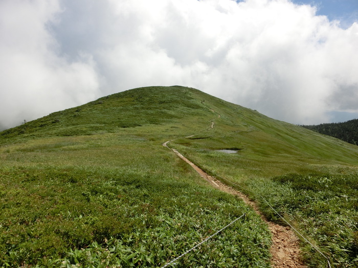b0185573_17302250.jpg