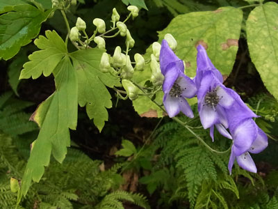 f0083977_23155832.jpg