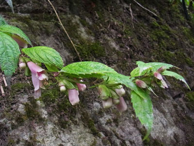 f0083977_2318759.jpg
