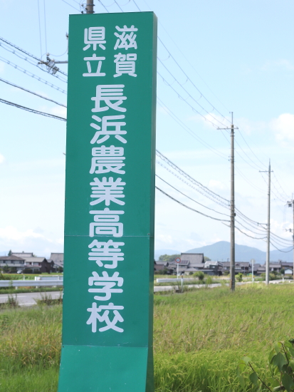 a0133078_9163076.jpg