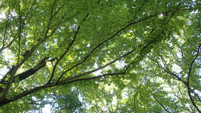e0024081_13424051.jpg