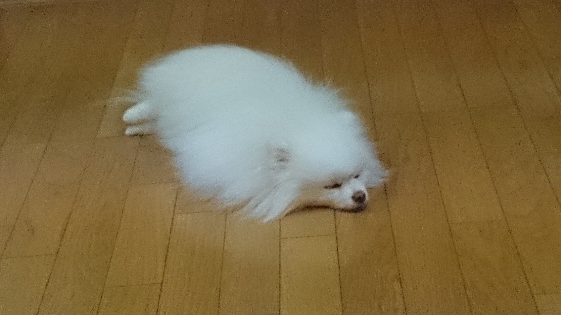 d0129083_14271930.jpg