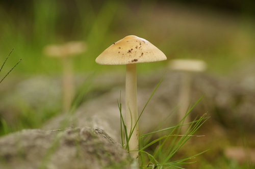 a0206496_125147.jpg