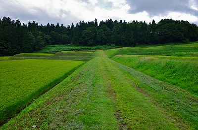 耐久山岳マラソンコース その2_c0336902_9232040.jpg