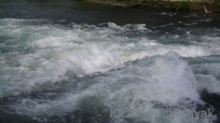 f0164003_16433954.jpg