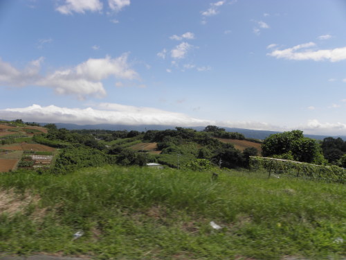b0342516_17441837.jpg