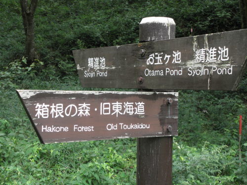 b0342516_18193942.jpg