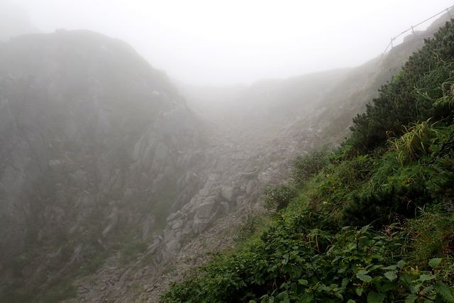 c0369423_21450594.jpg