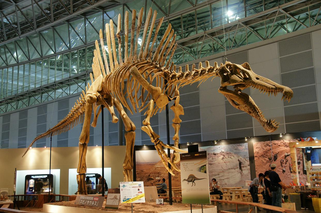 b0310424_14153940.jpg
