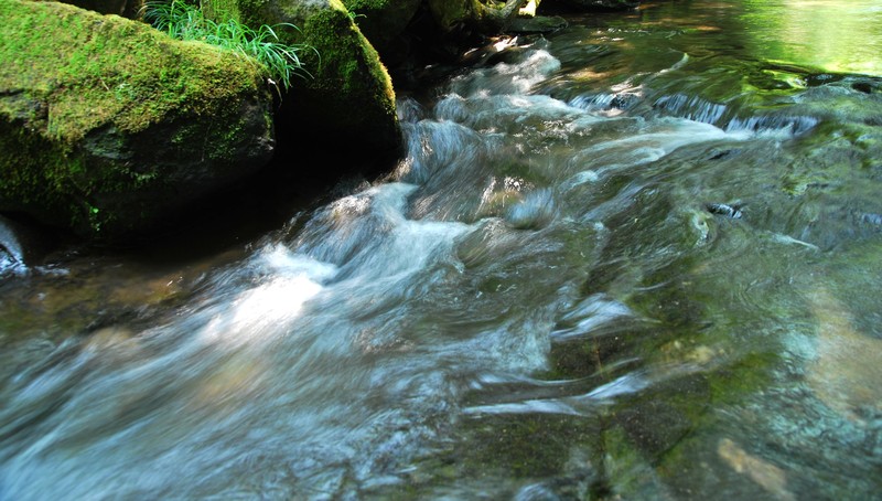 b0280025_22231343.jpg