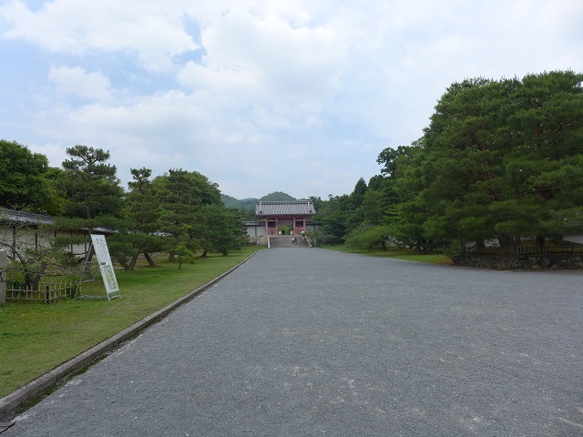 e0303726_17590157.jpg