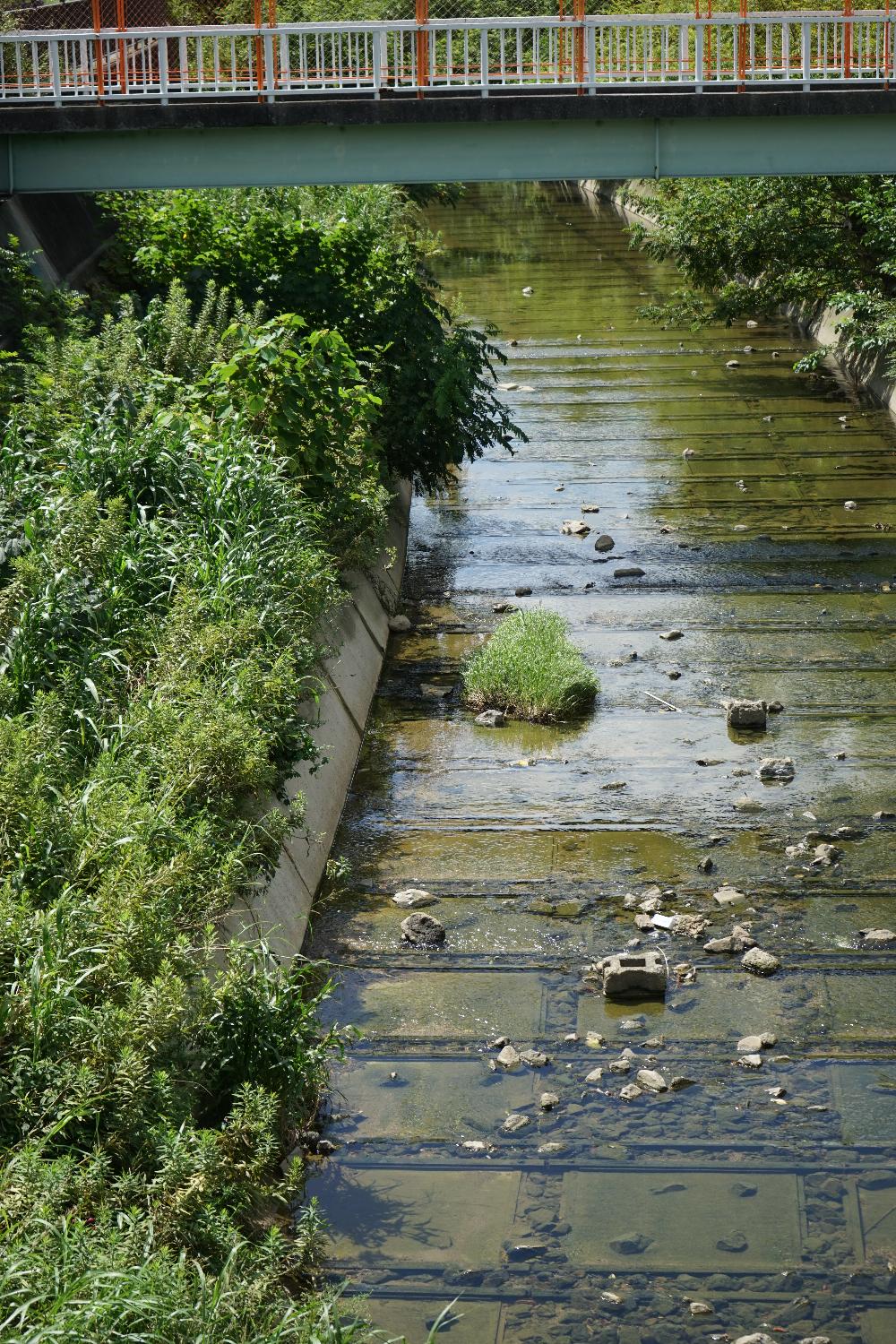b0069128_1451919.jpg