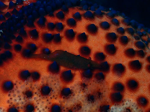 d0164831_17285360.jpg