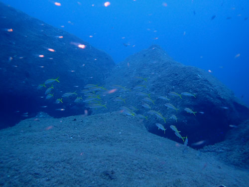 d0164831_17293647.jpg