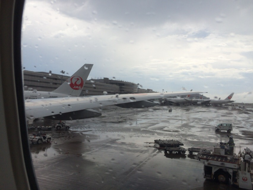 d0011635_13332231.jpg