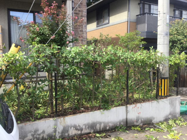 f0031037_20672.jpg