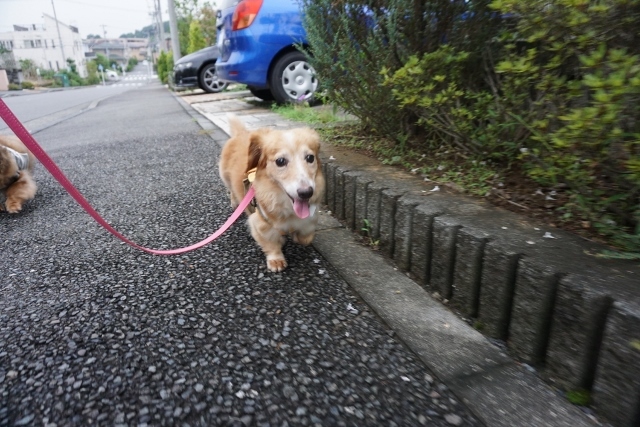 雨の合間に☆_d0336846_23544356.jpg