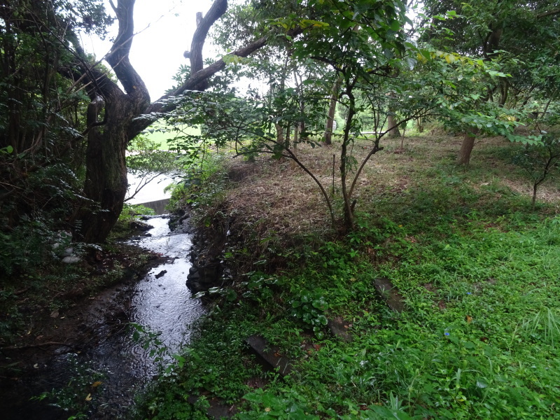 c0108460_15020834.jpg