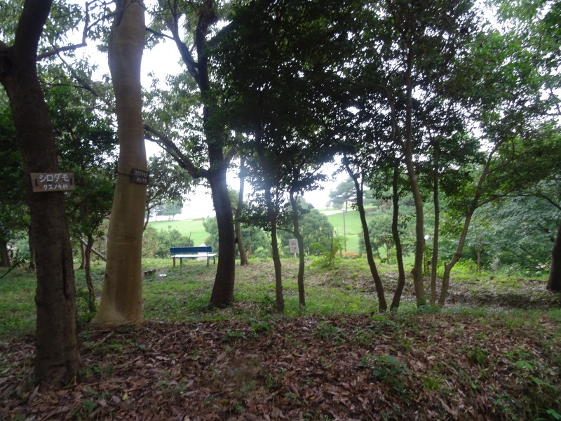 c0108460_15033246.jpg