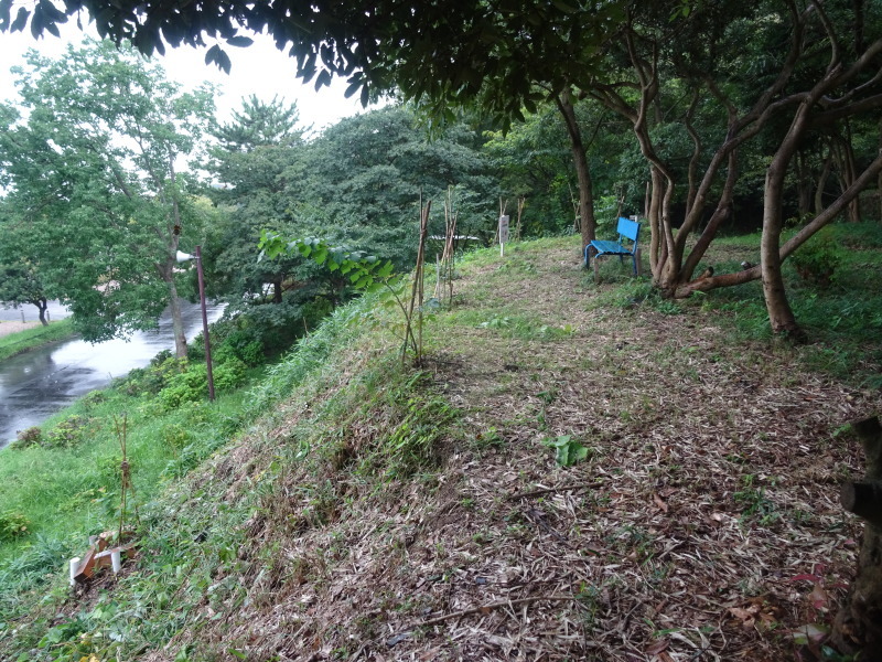 c0108460_15033497.jpg