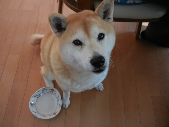 ’15、9,3(木)残暑がもどってきたザンショ!_f0060461_16215382.jpg