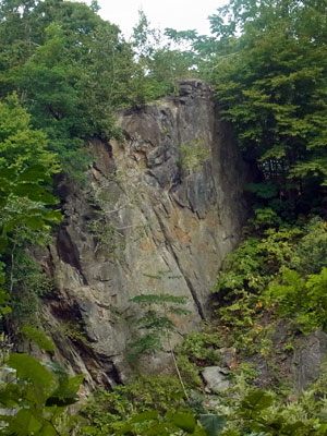 f0083977_6491492.jpg