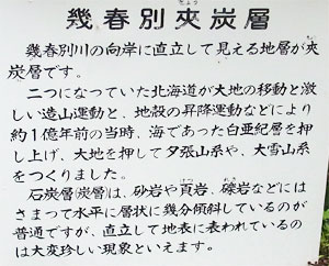 f0083977_650575.jpg