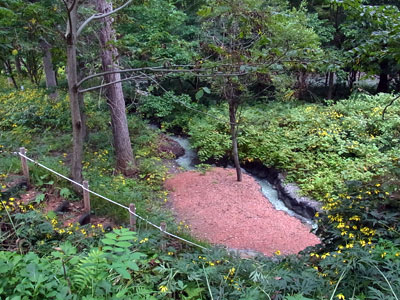 f0083977_6555588.jpg