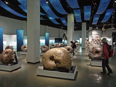 f0083977_6582639.jpg