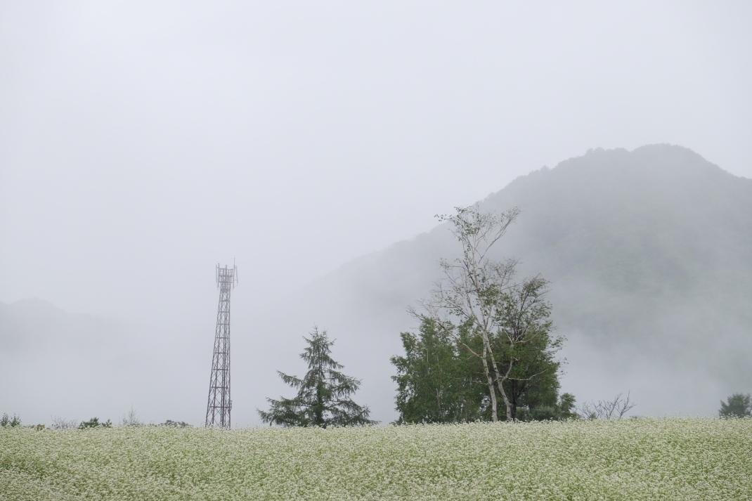 南会津　「高杖そば畑」 ＜２＞　２０１５・０８・２９_e0143883_16411264.jpg