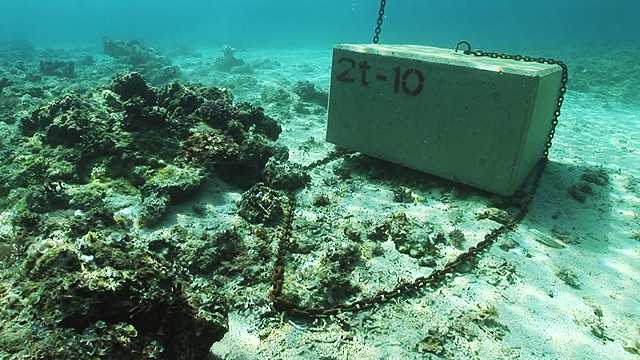 b0125384_2144048.jpg