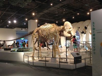 d0021786_9195858.jpg