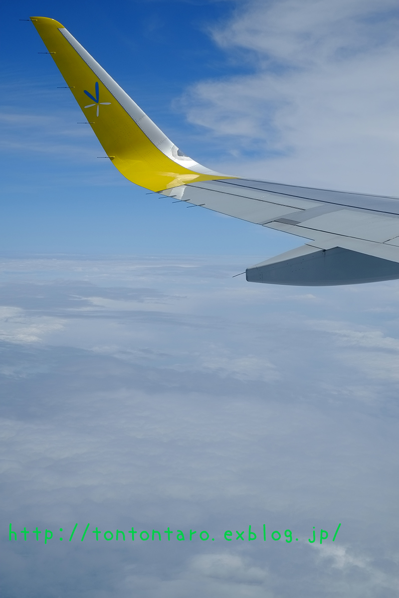 a0112888_1644785.jpg