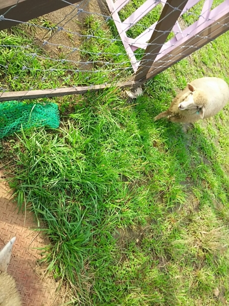 久しぶりの女子会_c0204188_00295446.jpg