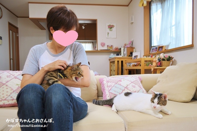 ぎんなん VS 春太郎_a0126590_21141362.jpg