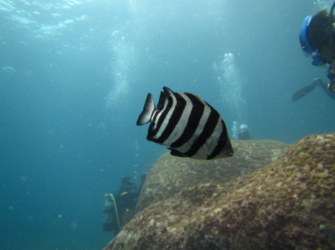 e0115199_14255571.jpg