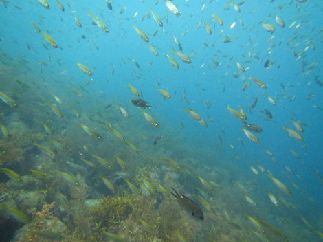 e0115199_14261694.jpg