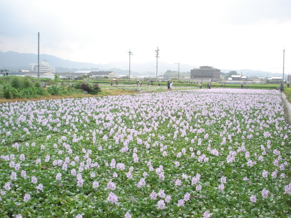 e0353802_21171292.jpg