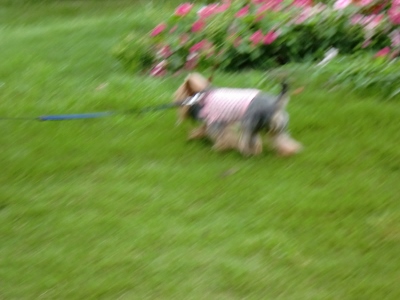 c0132205_1515727.jpg